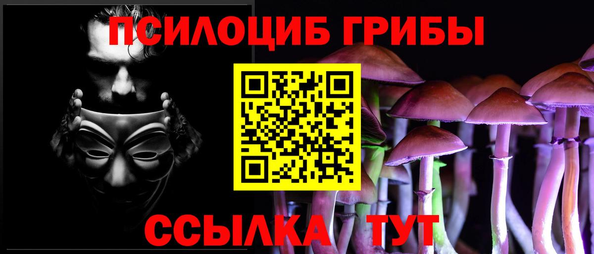 Галлюциногенные грибы GOLDEN TEACHER Карасук